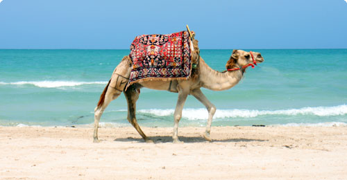Tunisien