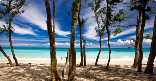 Hawaii-Honolulu